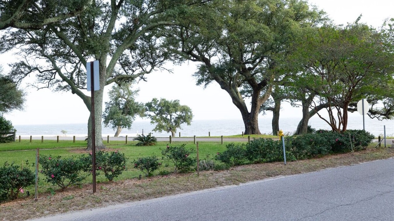 Photo of Outdoor in Pass Christian