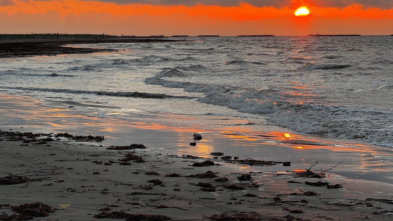 Photo of Others in Grand Isle