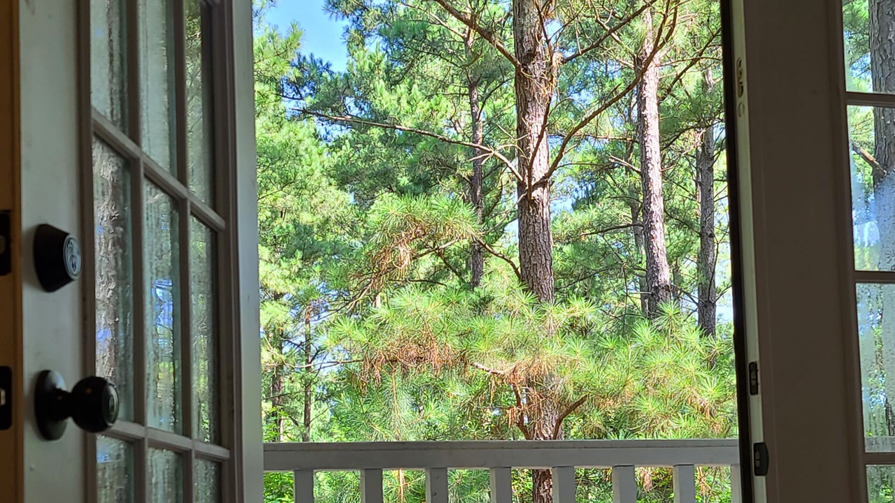Photo of Patio Balcony in Mineola