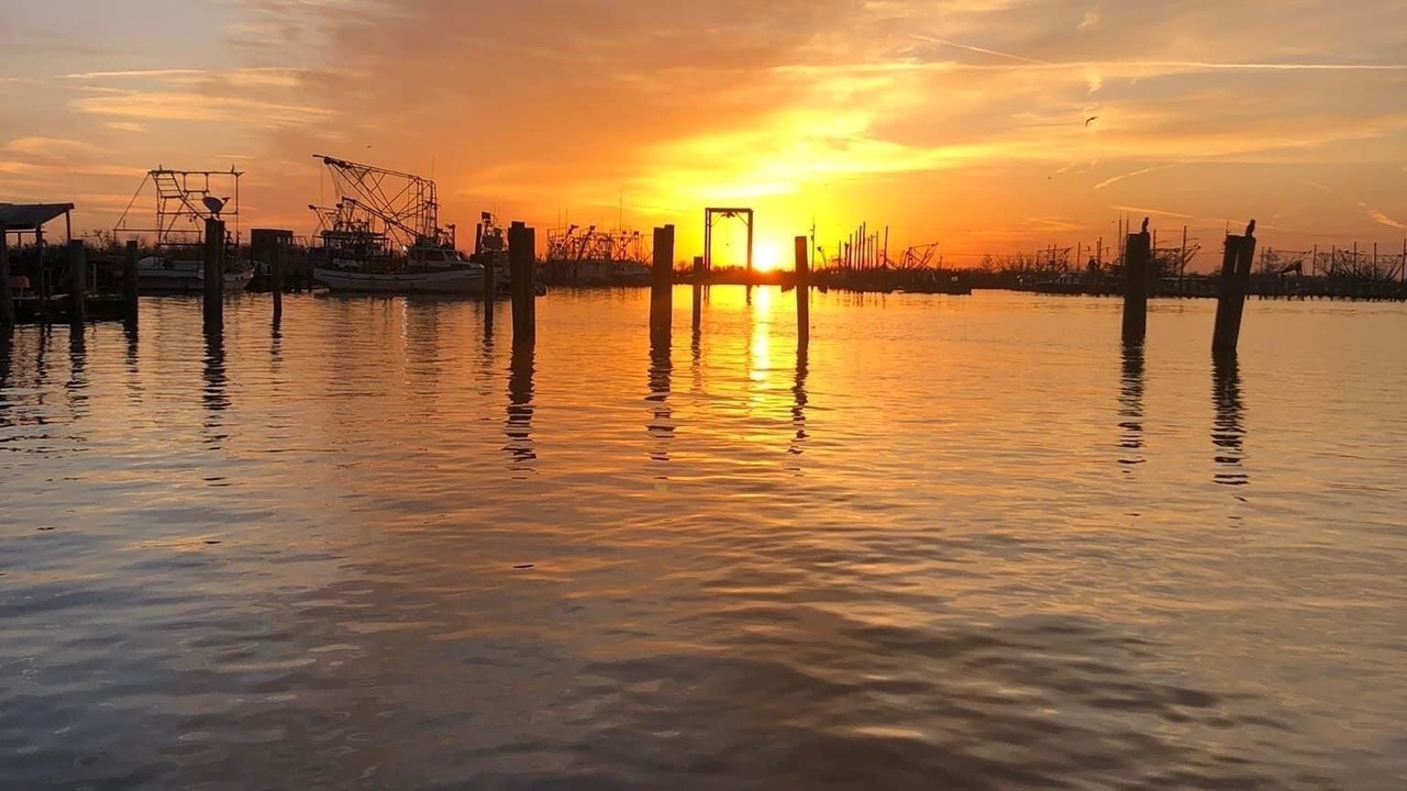 Photo of Others in Boothville-Venice