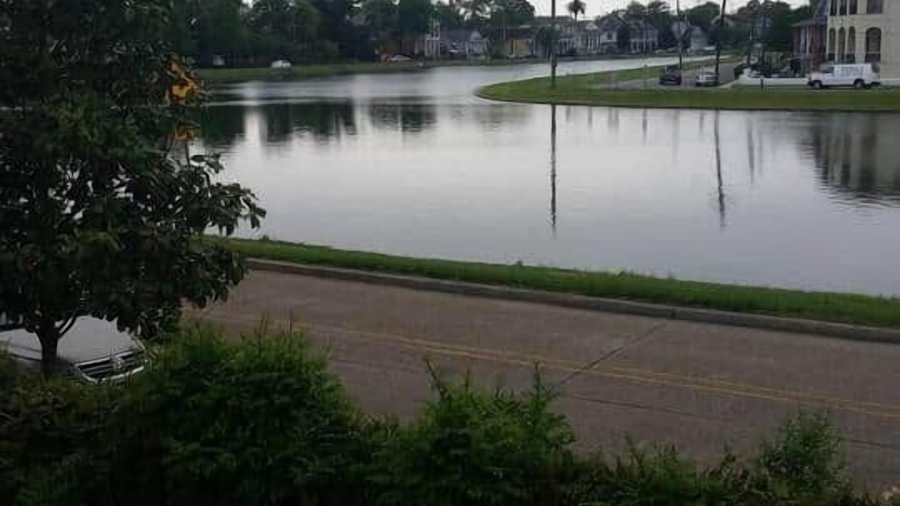 Photo of Outdoor in Bayou St. John