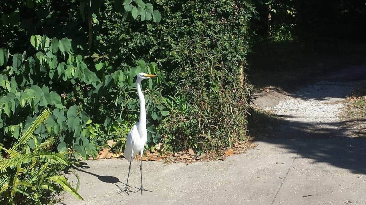 Photo of Others in Bayou St. John