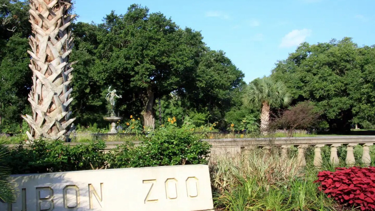 Photo of Outdoor in Carrollton