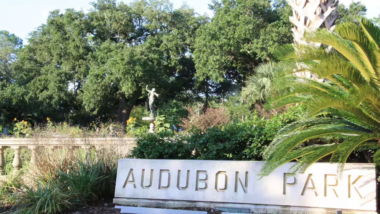 Photo of Outdoor in Carrollton