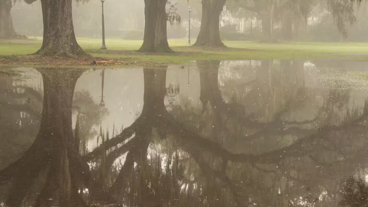 Photo of Others in Carrollton