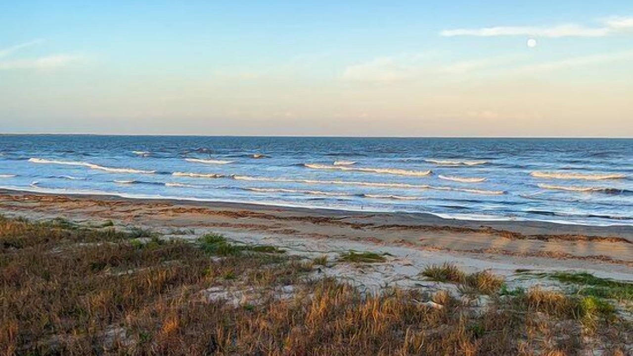 Photo of Others in Grand Isle