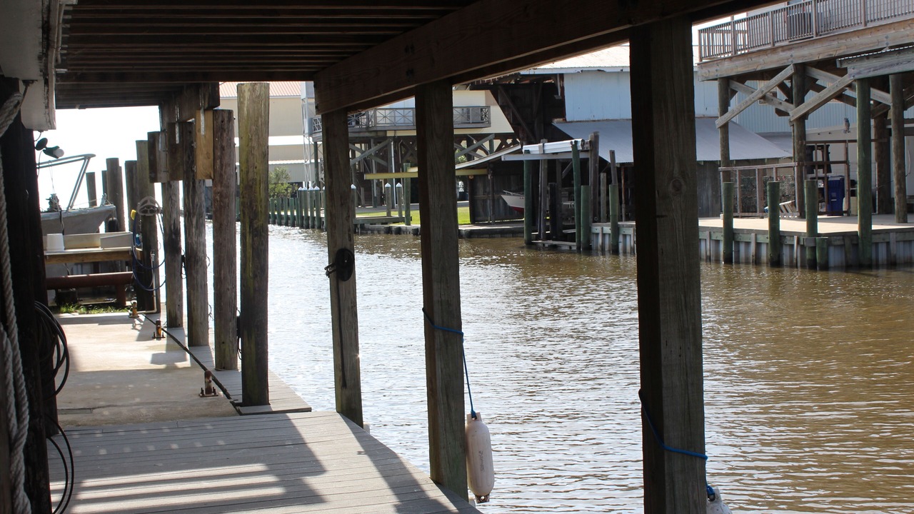 Photo of Patio Balcony in Cypremort Point