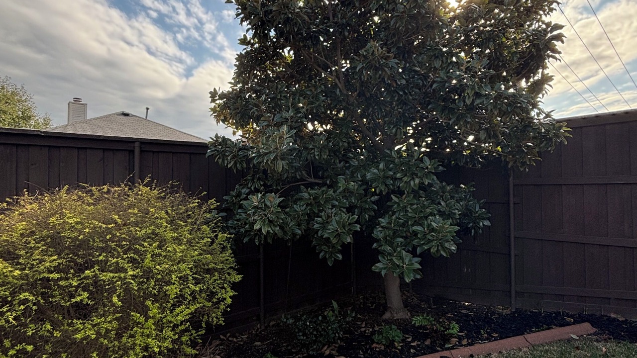 Photo of Outdoor in Frisco