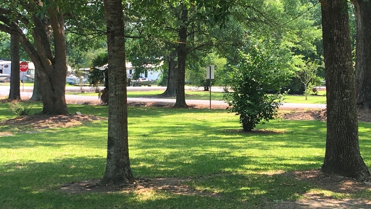 Photo of Outdoor in Sulphur