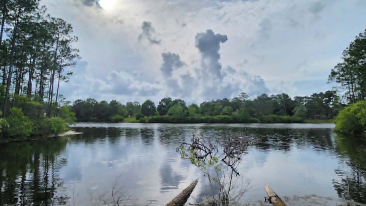 Photo of Others in Harrison County