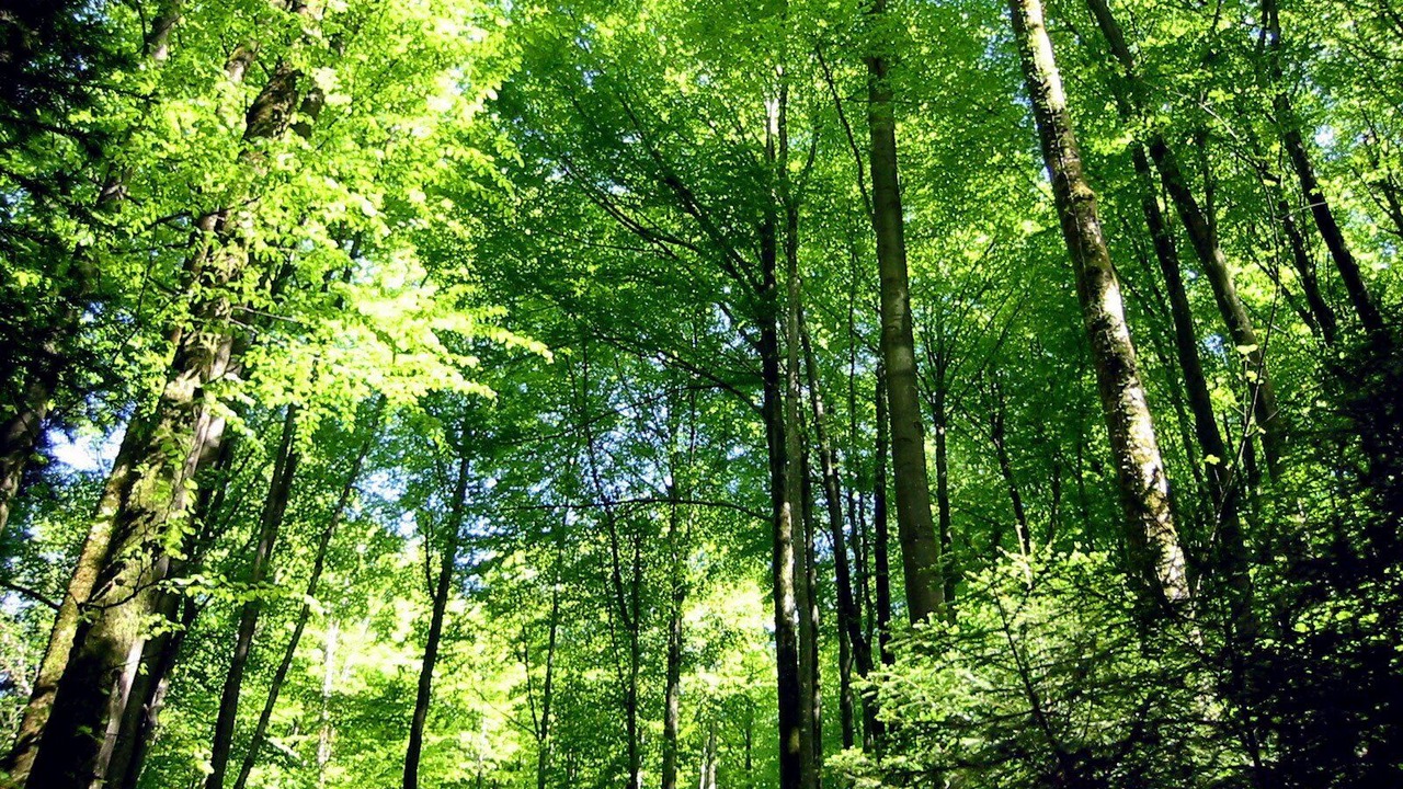 Photo of Outdoor in Cleveland