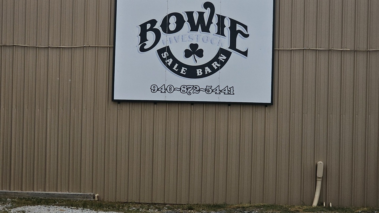 Photo of Others in Bowie