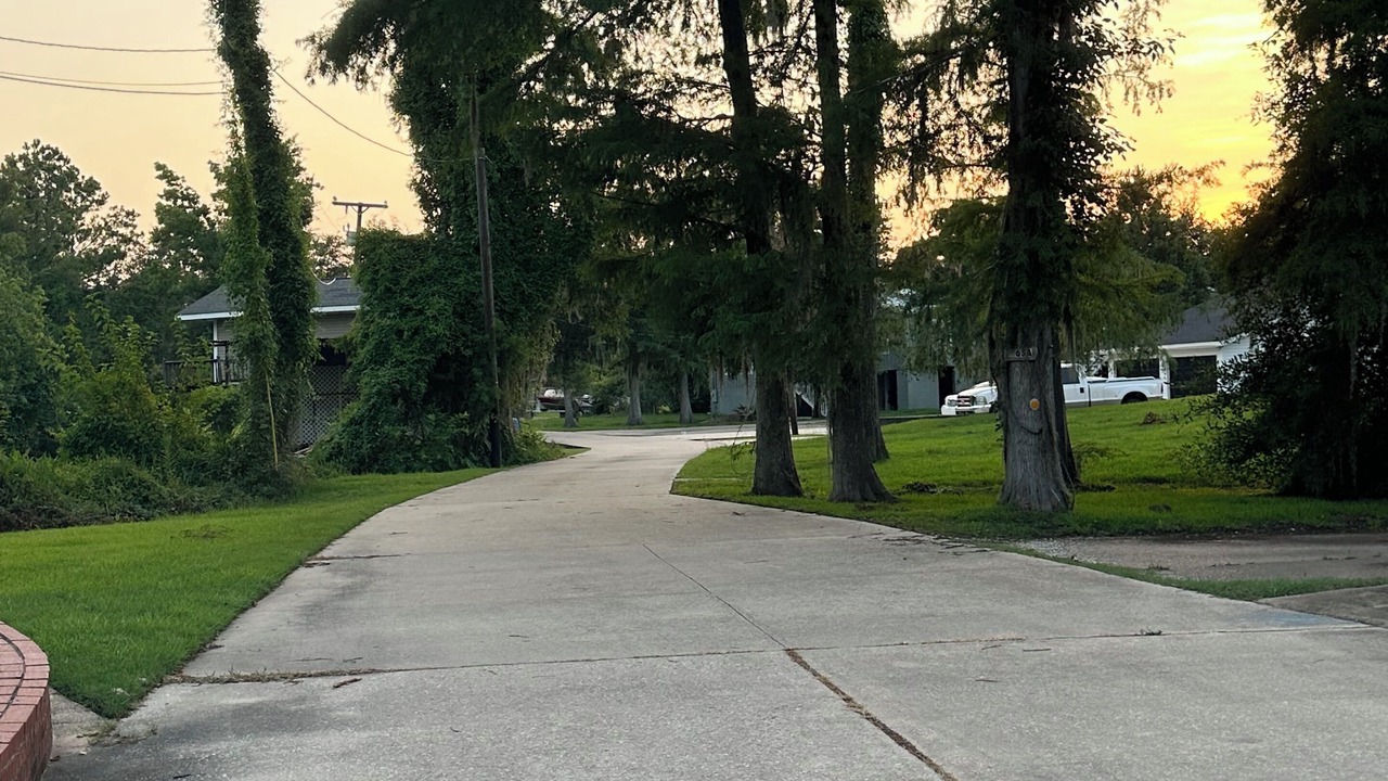 Photo of Outdoor in Moss Bluff