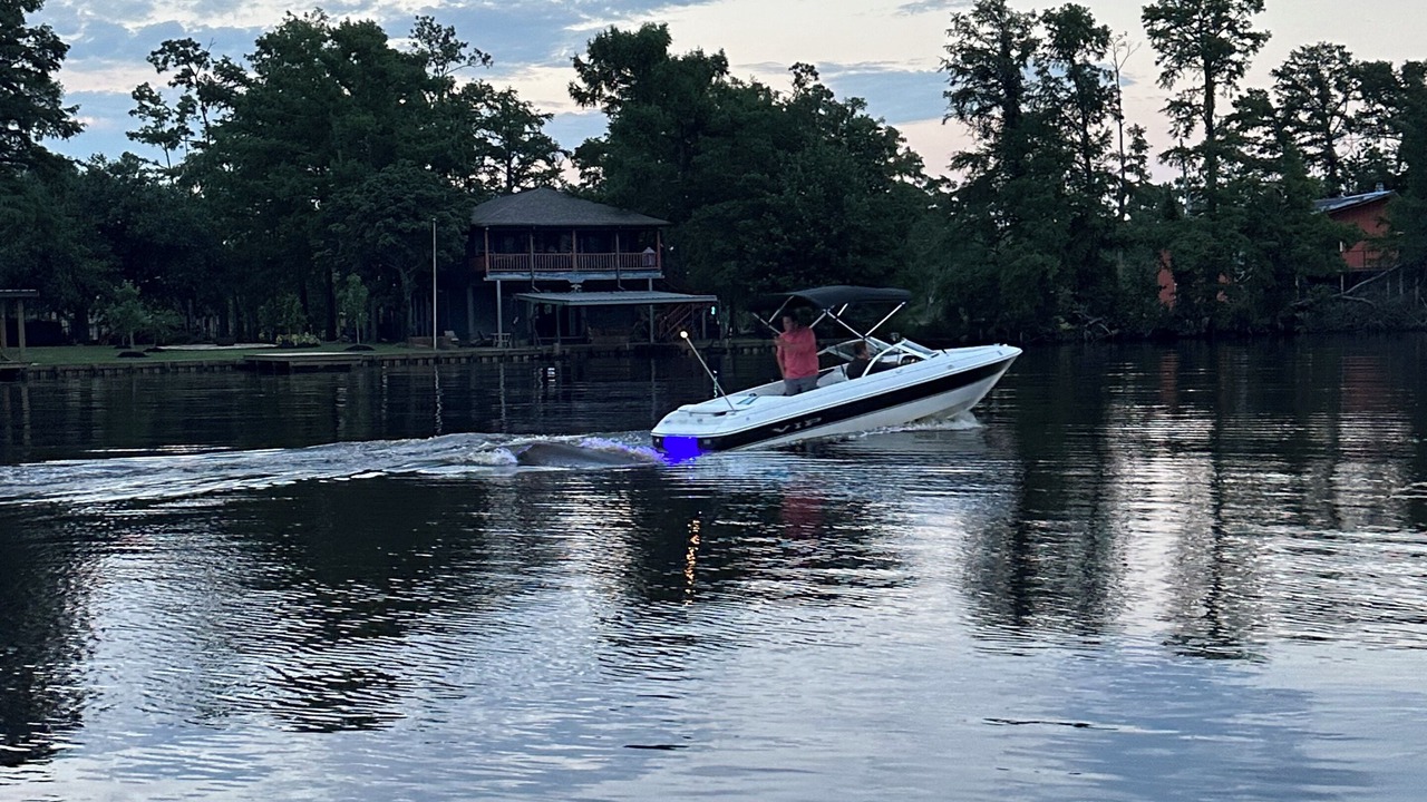 Photo of Others in Moss Bluff