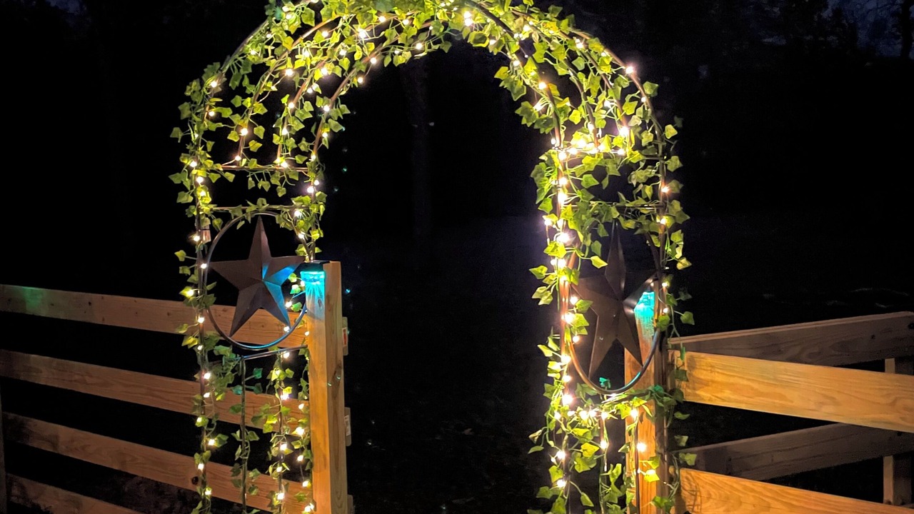 Photo of Outdoor in Magnolia