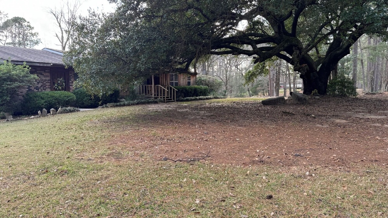 Photo of Outdoor in Flora