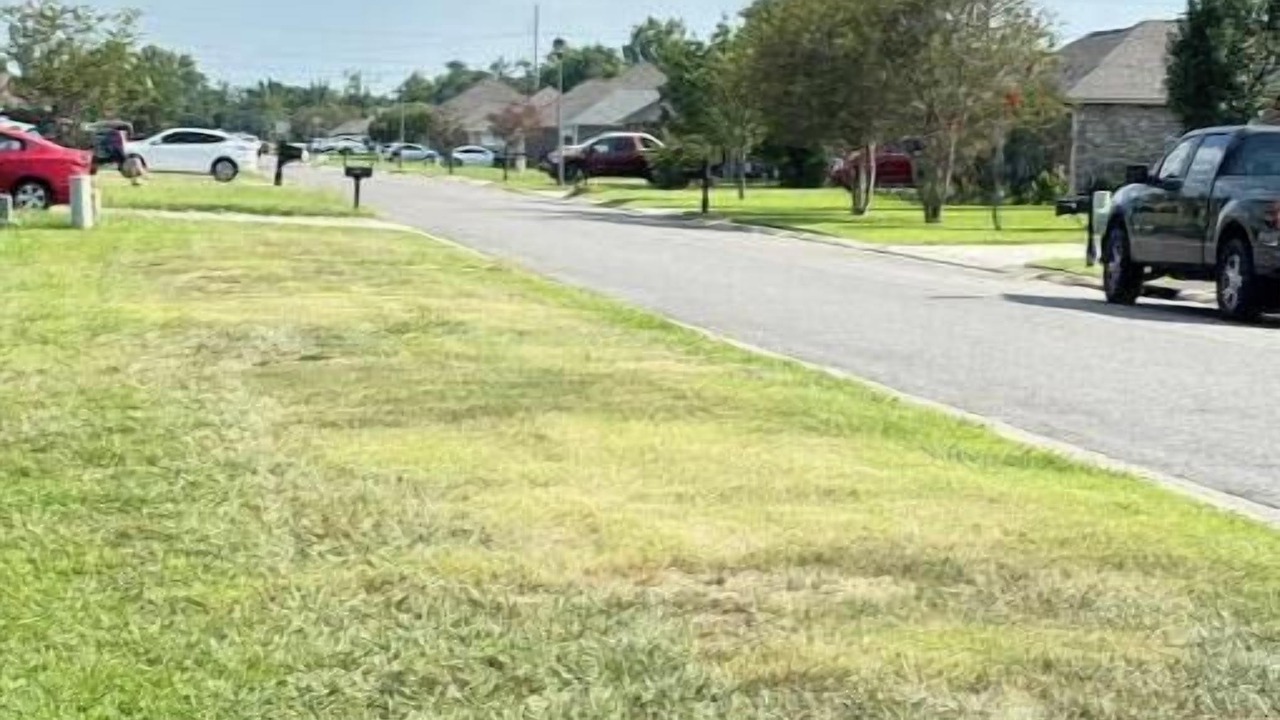 Photo of Outdoor in Gonzales