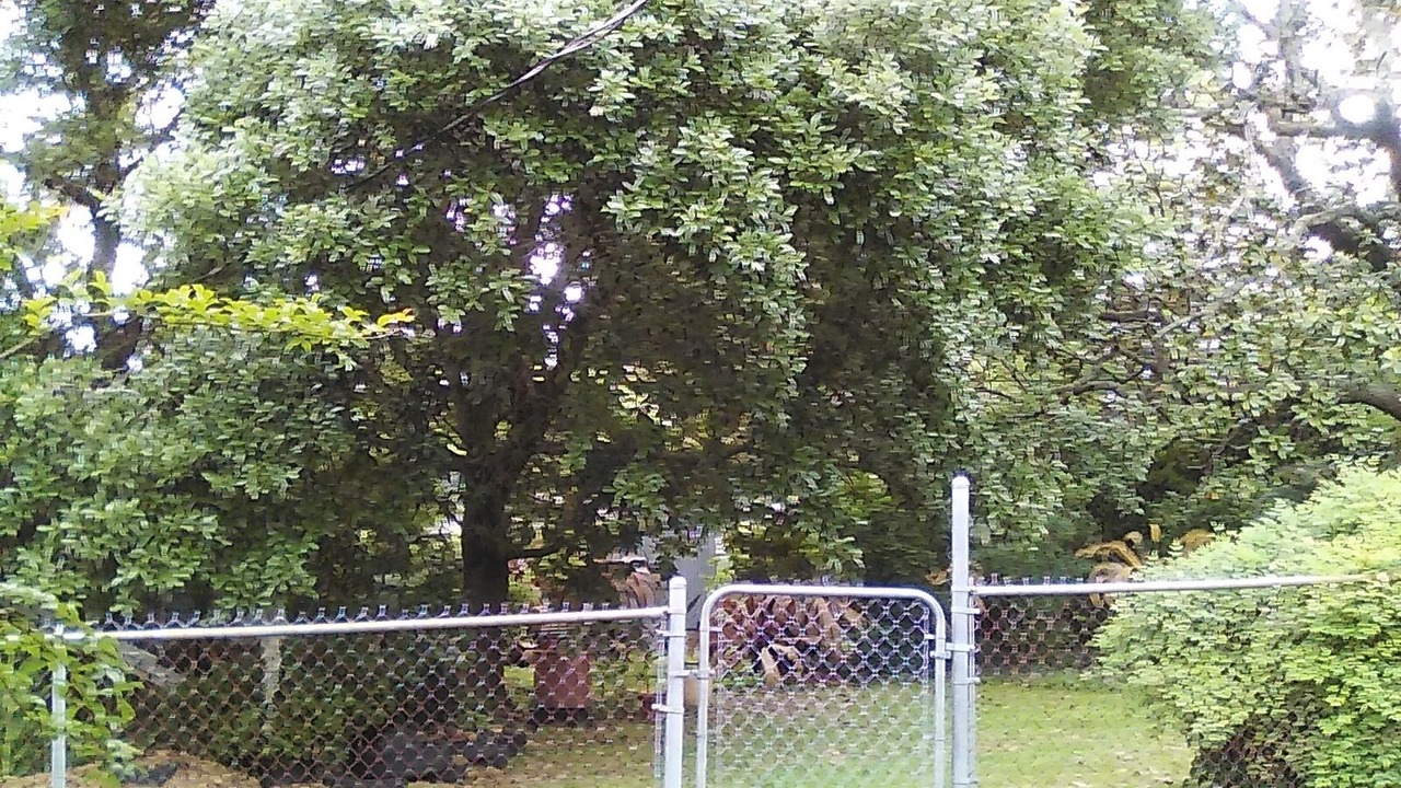 Photo of Outdoor in Mid City South
