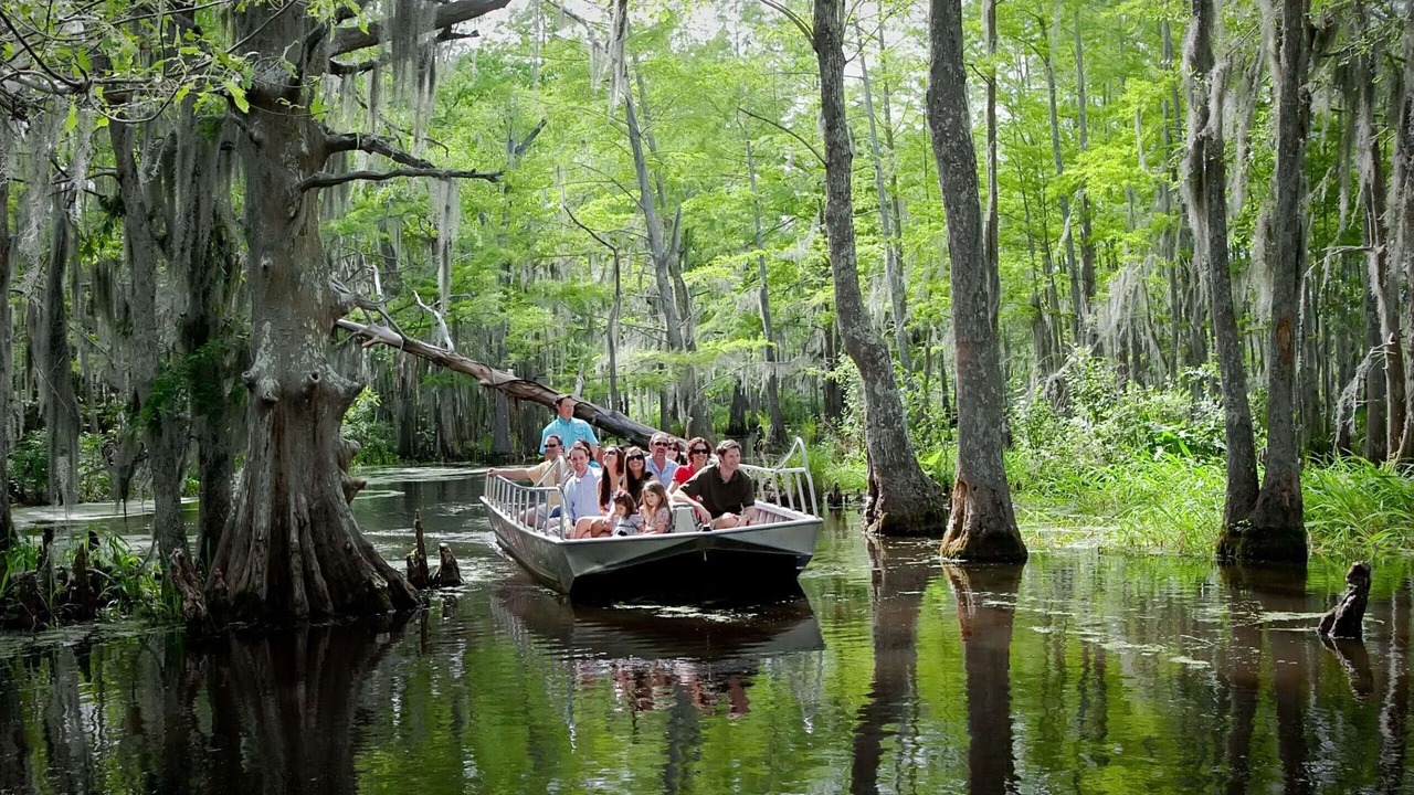 Photo of Others in Lafayette