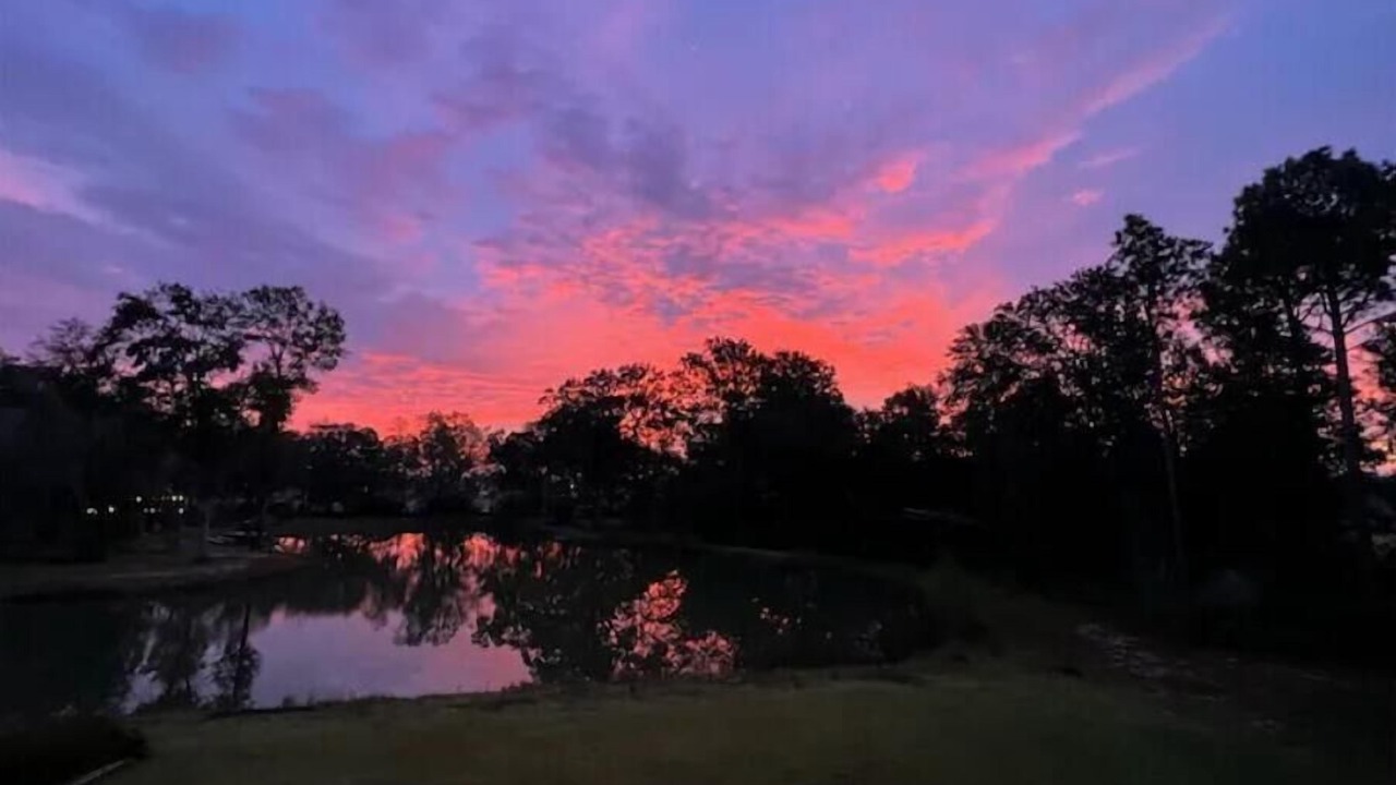 Photo of Others in Youngsville