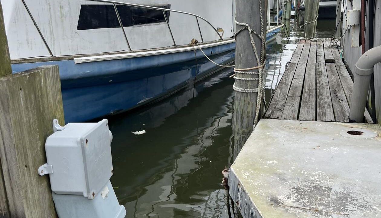 Photo of Others in Venice