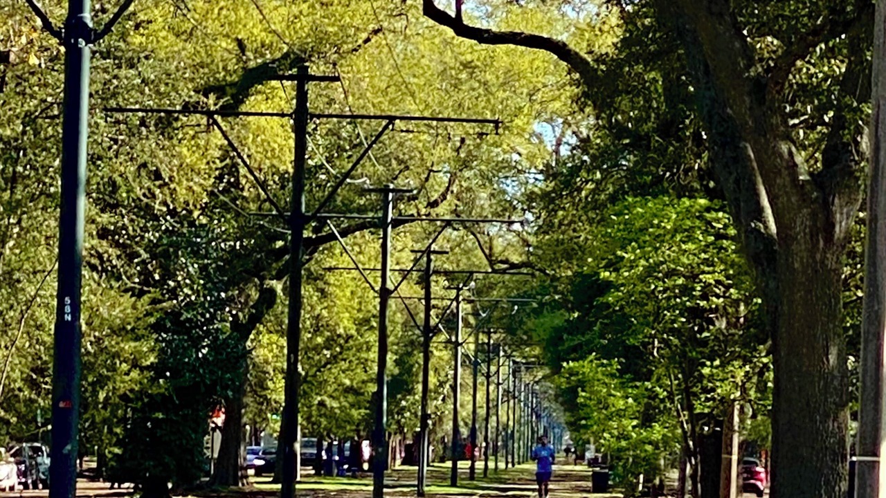 Photo of Others in East Carrollton