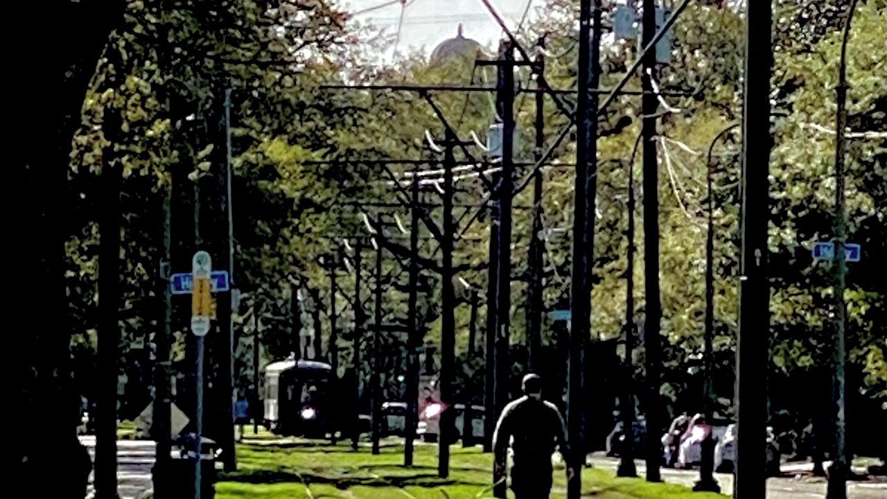Photo of Others in East Carrollton