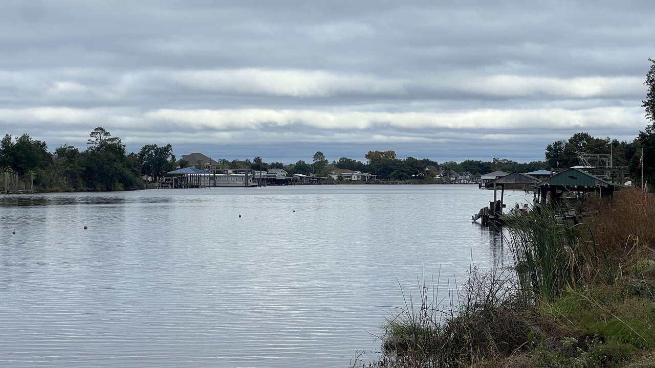 Photo of Outdoor in Barataria