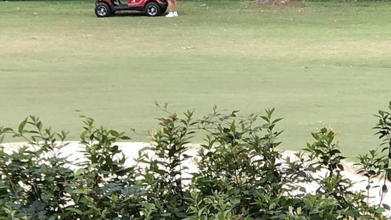 Photo of Outdoor in Diamondhead