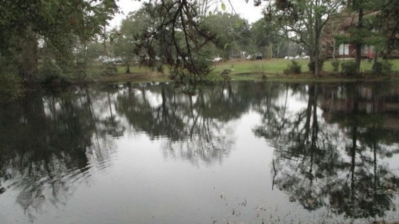Photo of Outdoor in Diamondhead