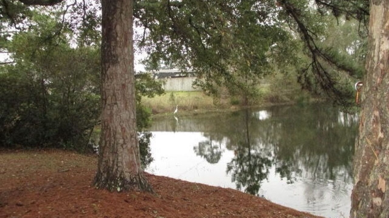 Photo of Outdoor in Diamondhead