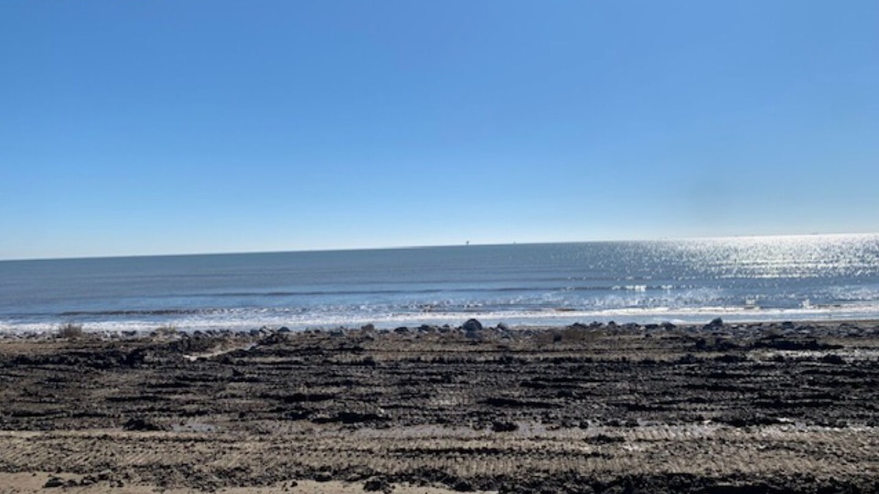 Photo of Others in Grand Isle
