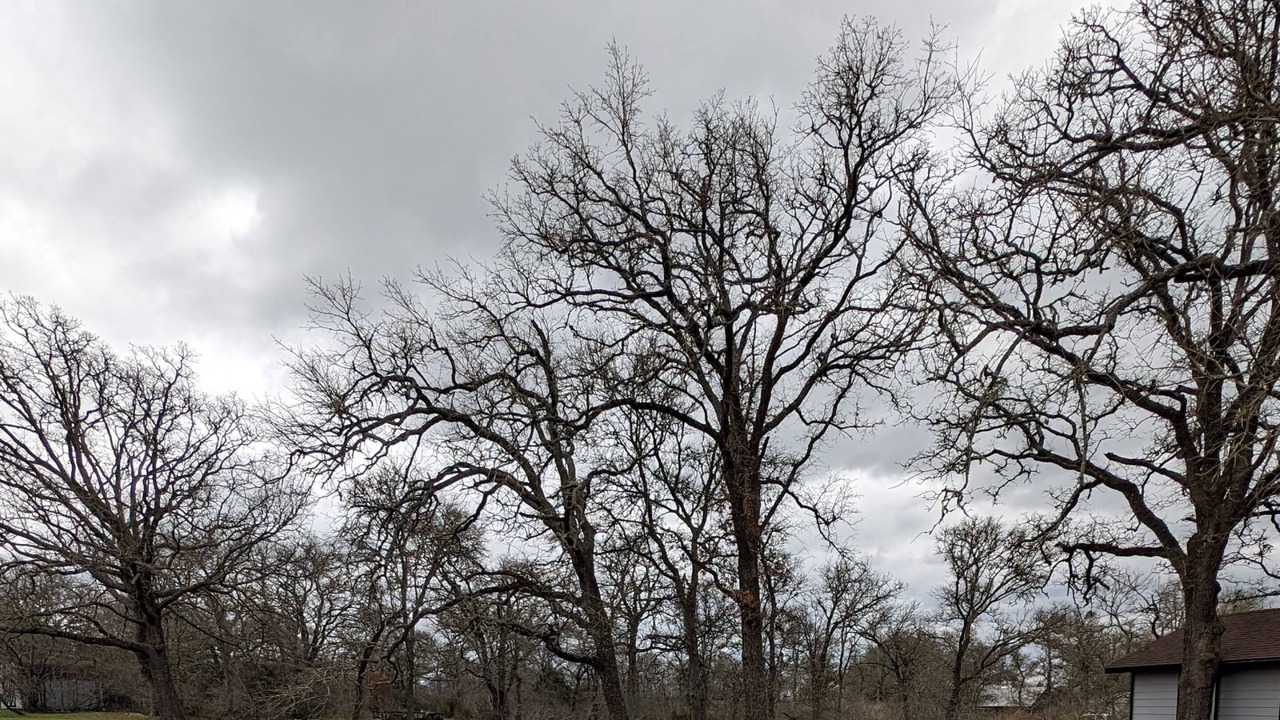 Photo of Others in Cedar Creek