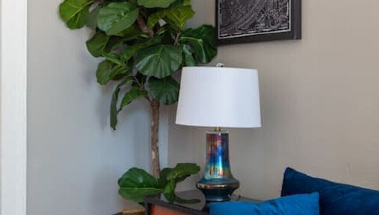 Photo of Livingroom in Mid-City