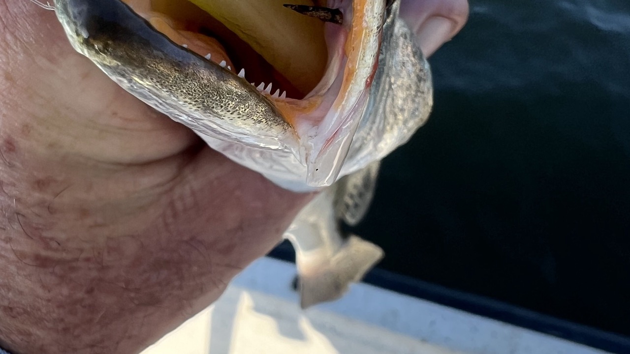 Photo of Others in Cypremort Point