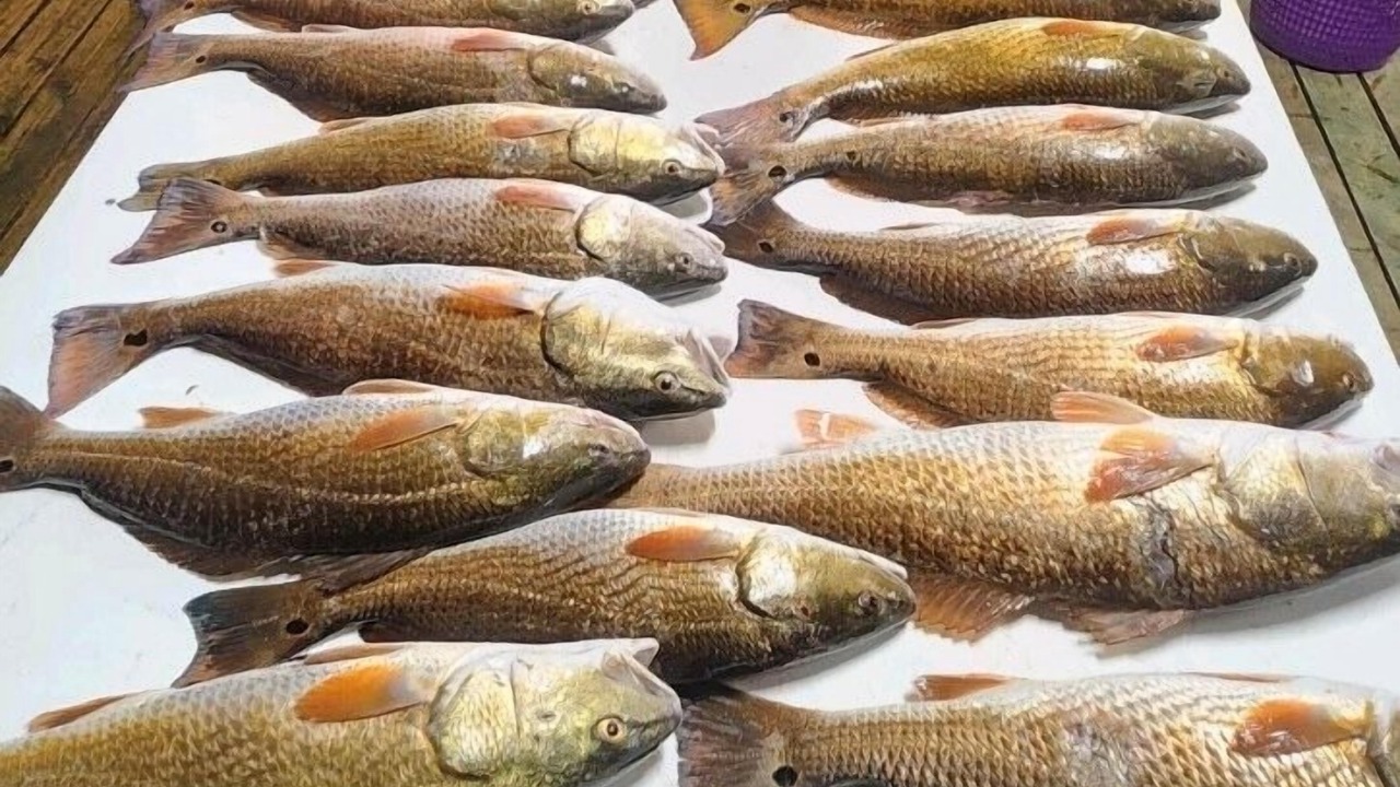 Photo of Others in Delacroix