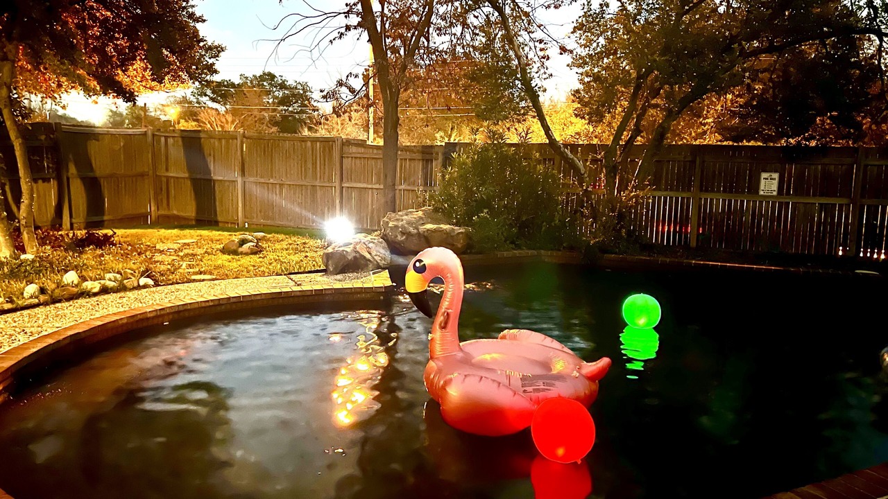 Photo of Outdoor in Lake Highlands