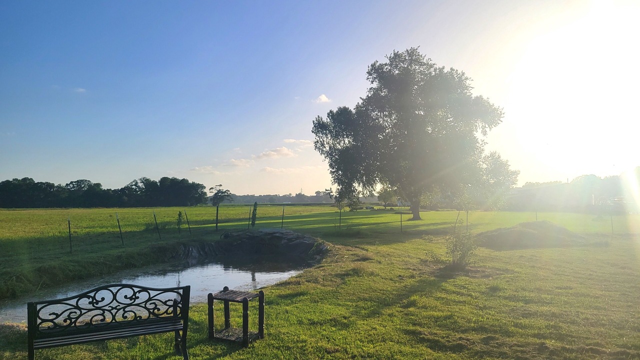 Photo of Outdoor in Carencro