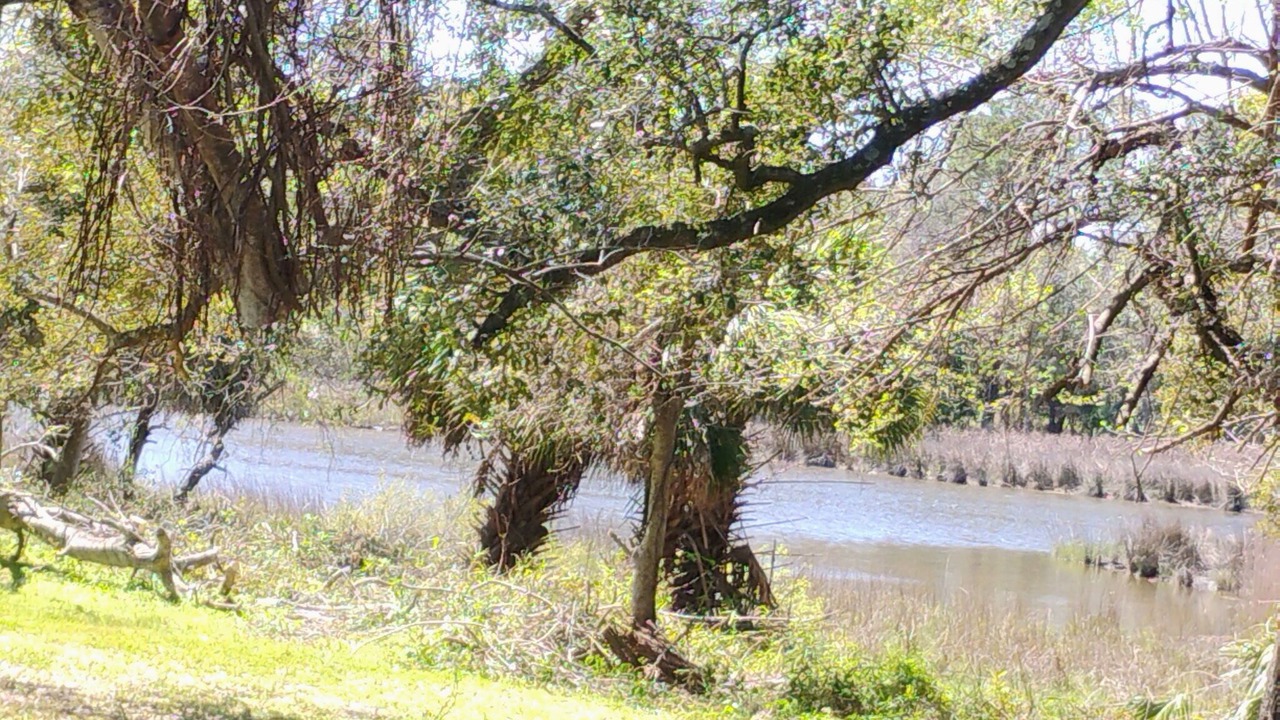 Photo of Others in Biloxi