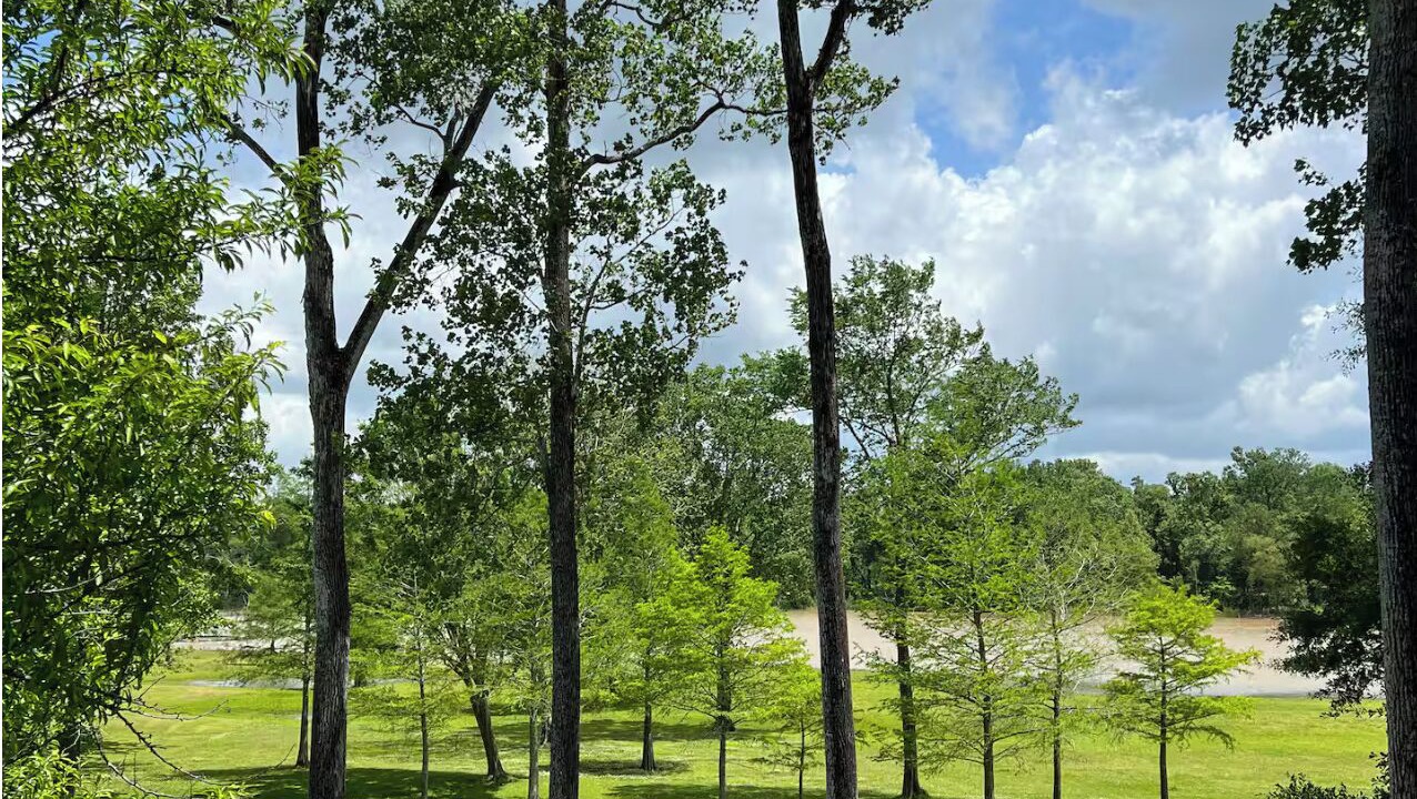 Photo of Others in Atchafalaya