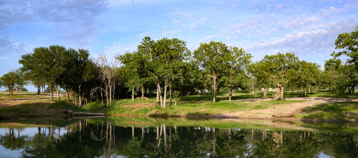 Photo of Others in Alvord