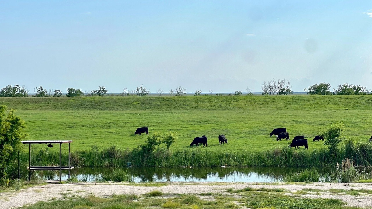 Photo of Others in Boothville-Venice