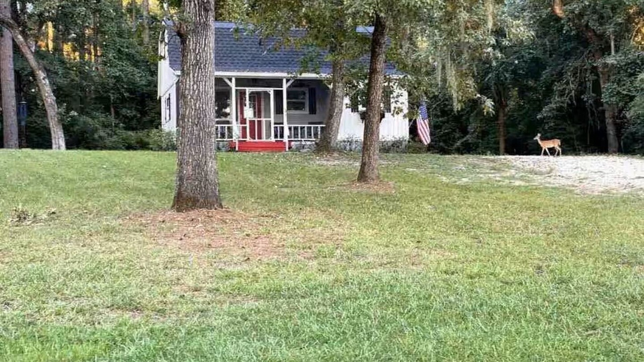 Photo of Outdoor in Trinity