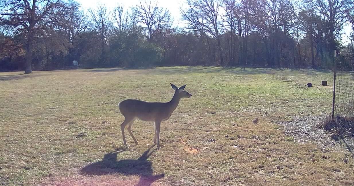 Photo of Others in Glen Rose