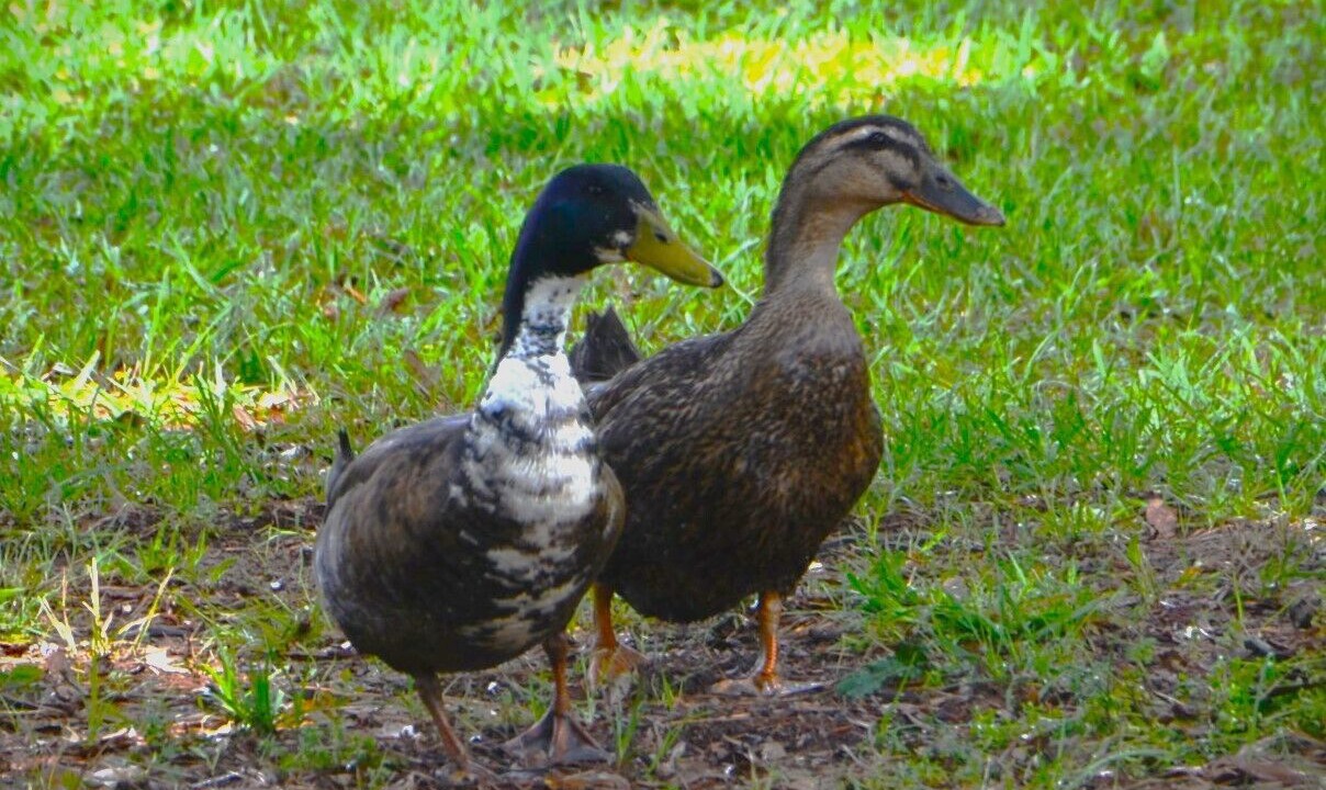 Photo of Others in Jackson