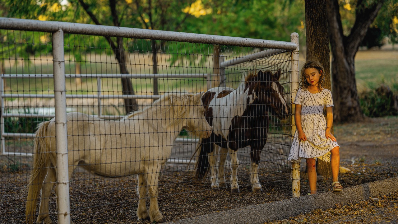 Photo of Others in Fort Worth