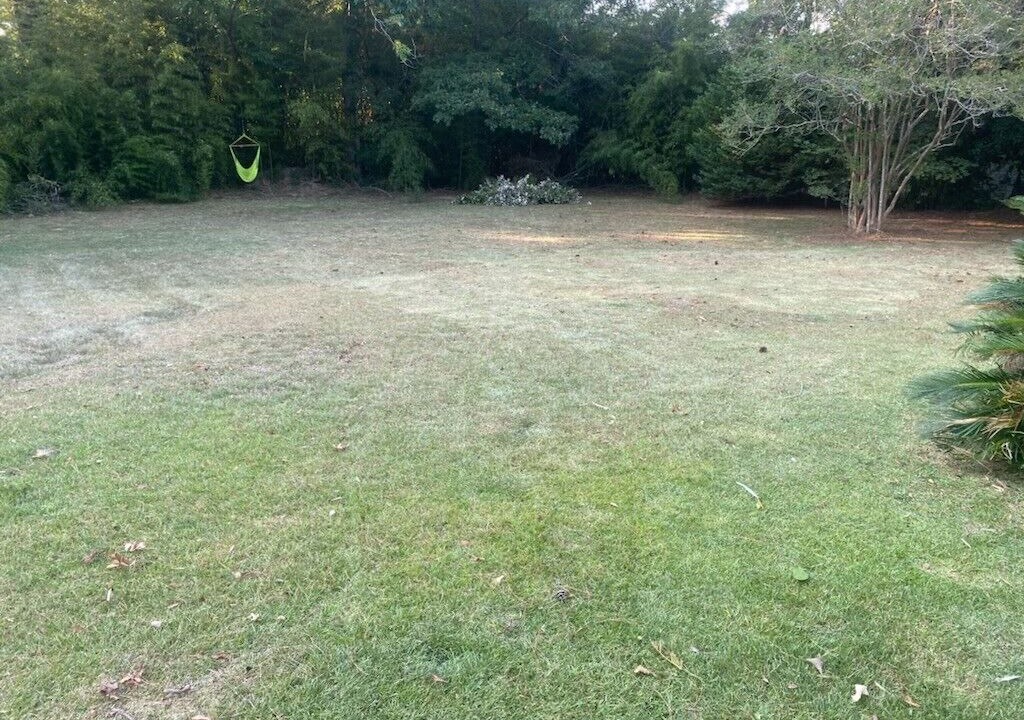 Photo of Outdoor in St. Francisville
