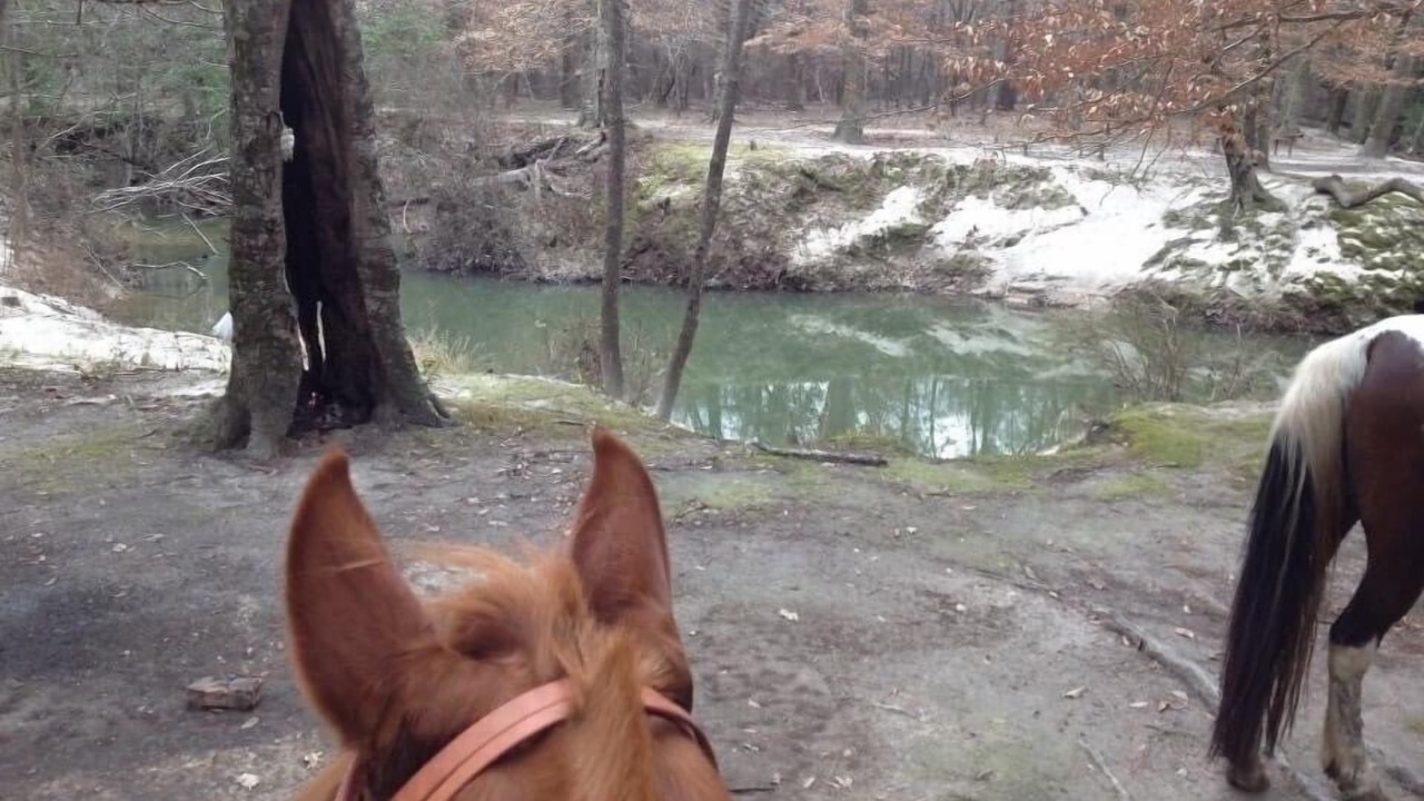 Photo of Outdoor in Melder
