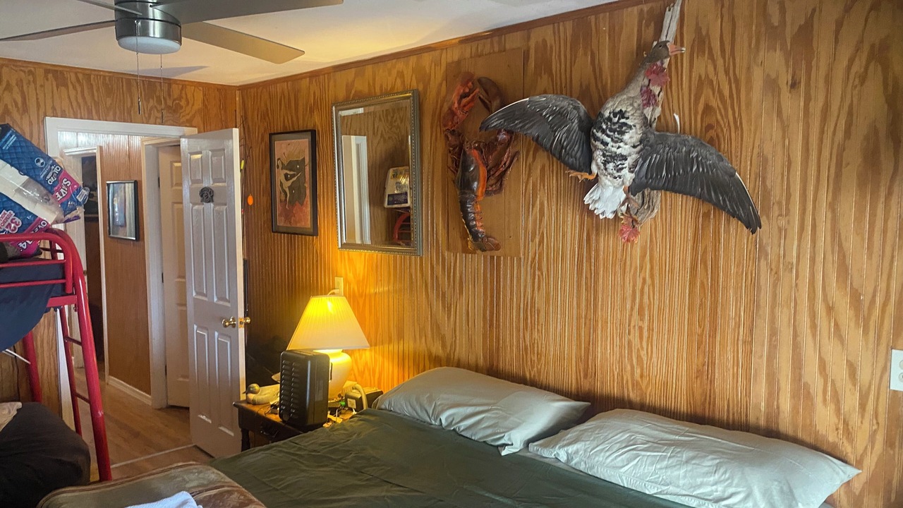 Photo of Bedroom in Delacroix