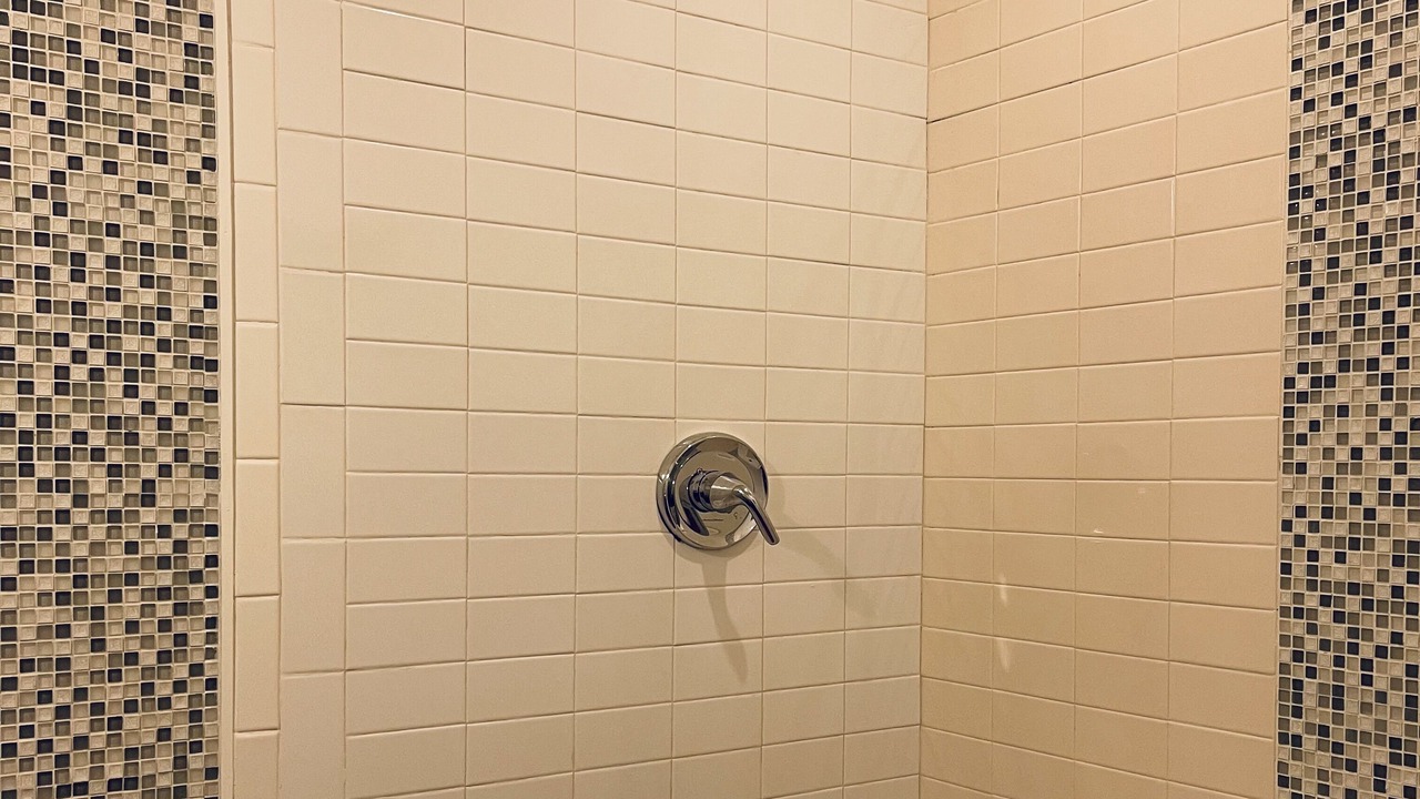 Photo of Bathroom in Algiers Point
